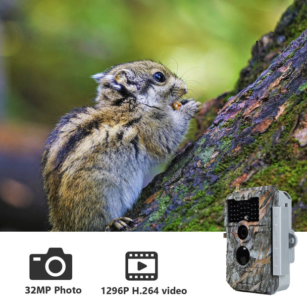 WiFi Åtelkamera 32MP HD 1296P Mörkerseende och Rörelsedetektor med 0.5s Triggerhastighet No Glow, 940nm Infraröd, IP66 vattentät för Utomhus och Vilda Djur| W600 Grå