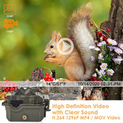 Wireless Bluetooth WildlifeTrail Camera with Night Vision Motion Activated 32MP 1296P Waterproof Stealth Camouflage for Hunting, Home Security